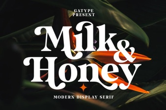 Typography Style with Milk and Honey Font